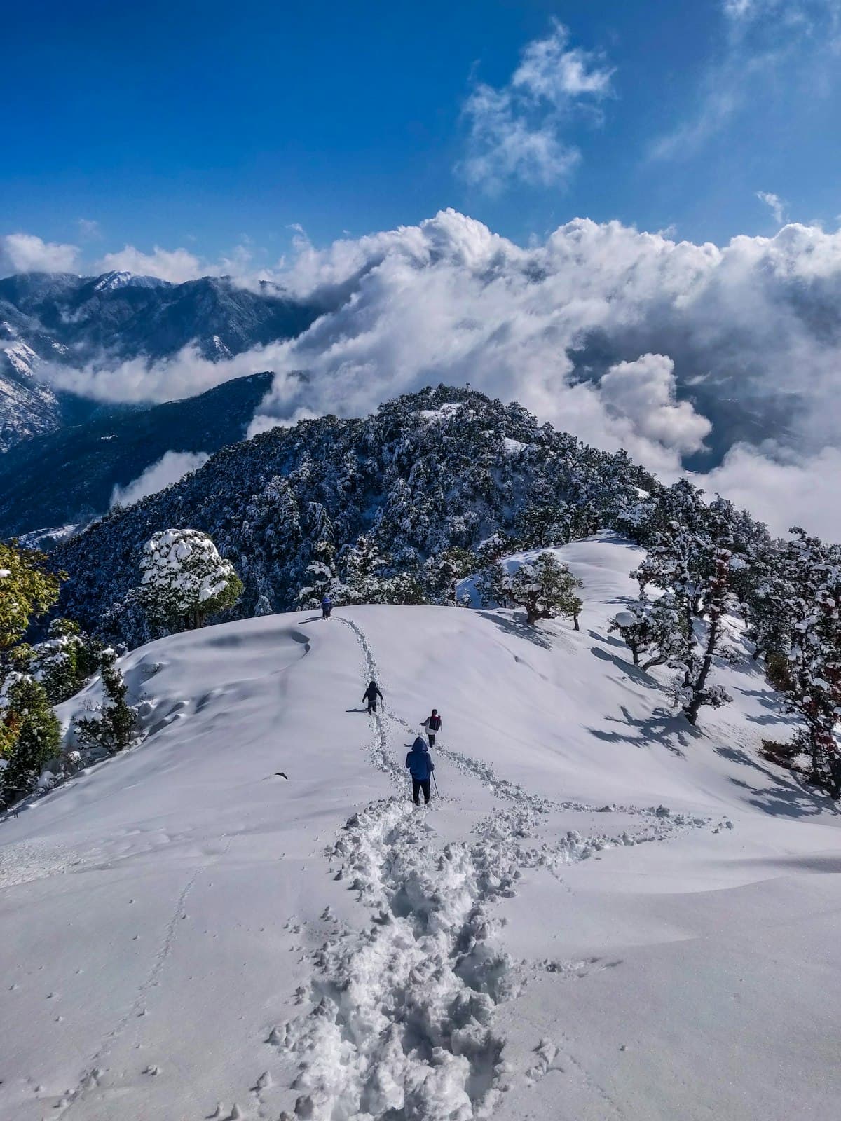 Assam & Meghalaya Nature Expedition